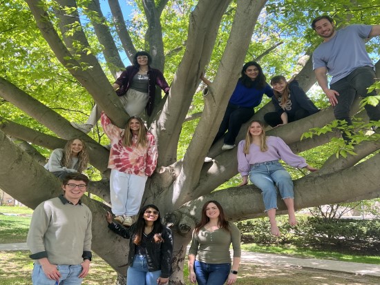 members of the van Kessel Lab are standing and sitting in a tree